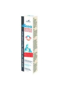 HUBNER DENTIF SILIC S/MENTA50G