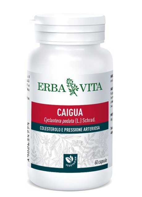 CAIGUA 60CPS 400MG EBV