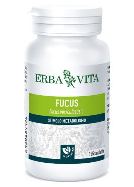 FUCUS 125TAV EBV