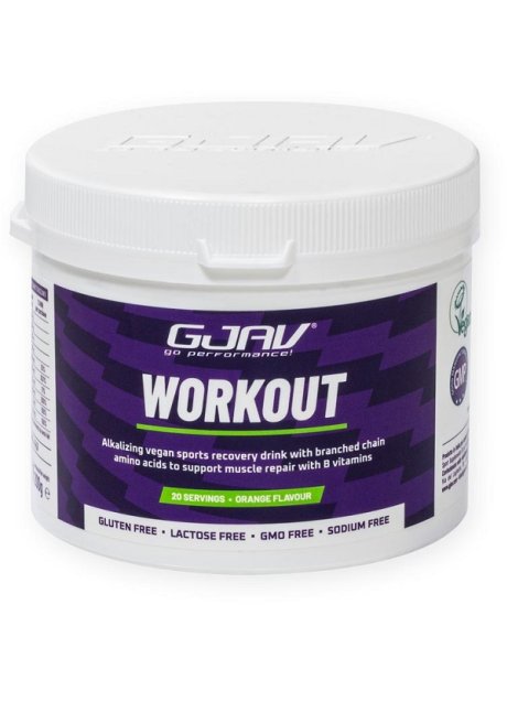 GJAV WORKOUT ARANCIA 200G