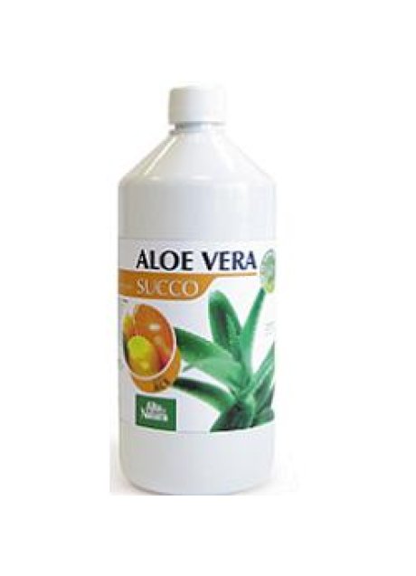 ALOE VERA SUCCO ACE 1L