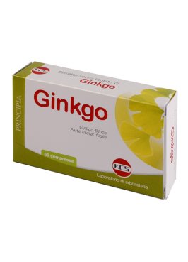 GINKGO BILOBA ESTR SEC 60CPR