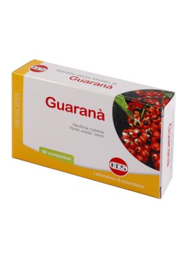 GUARANA ESTR SEC 60CPR