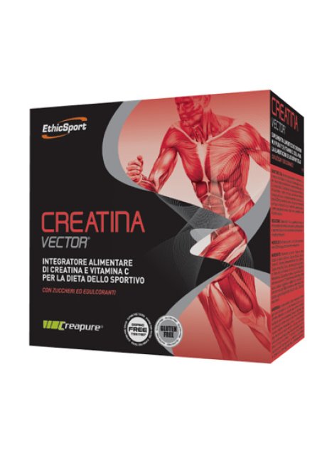 CREATINA VECTOR 20BUST 8G