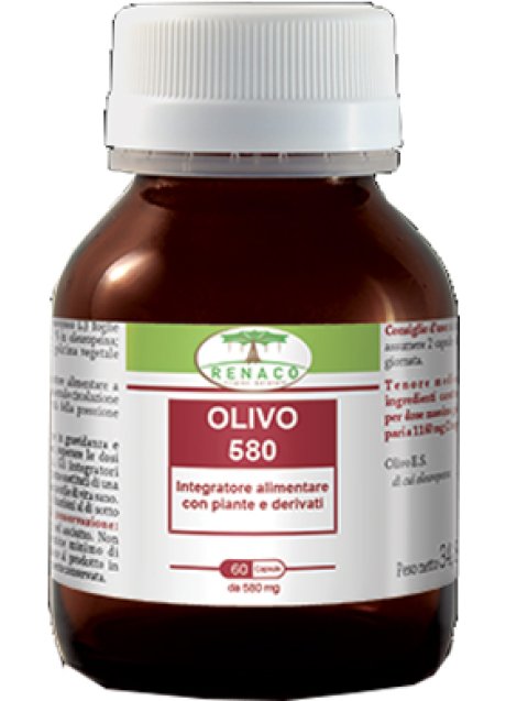 OLIVO 580 60CPS