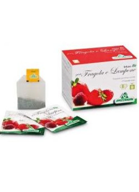 INFUSO FRAGOLA/LAMPONE 20 FILTRI