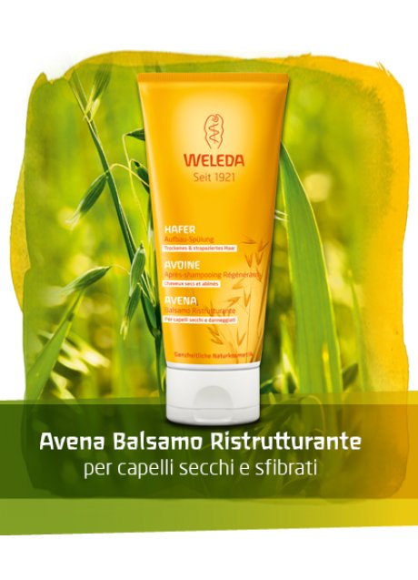 AVENA BALSAMO CAPELLI 200ML WE