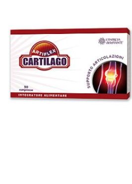 ARTIFLEX CARTILAGO 30CPR