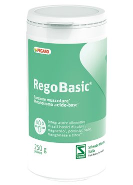 REGOBASIC POLVERE 250 G