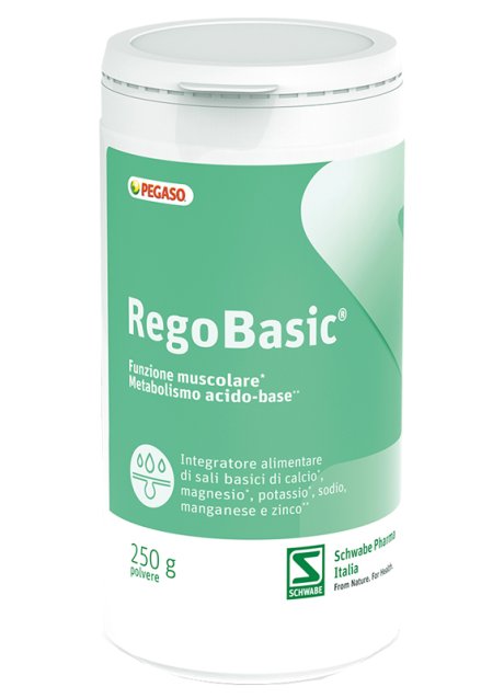 REGOBASIC POLVERE 250 G