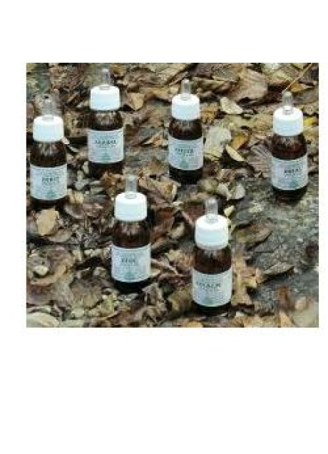 PLANTASALUS OLIO MASS 30ML