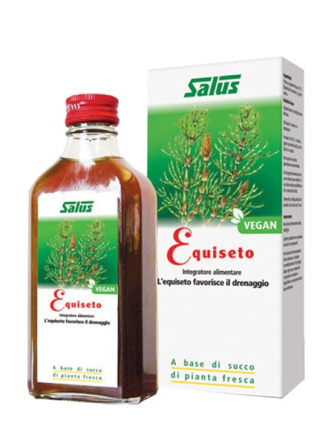 EQUISETO SUCCO 200ML BIO