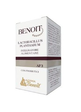 BENOIT AF3 LACTOBACILLUS PLANTHA