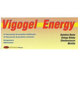 VIGOGEL ENERGY OROSOLUBILE 10+10 FLACONCINI