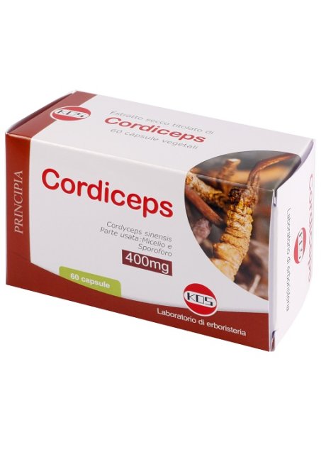 CORDICEPS ESTR SECCO 60CPS KOS