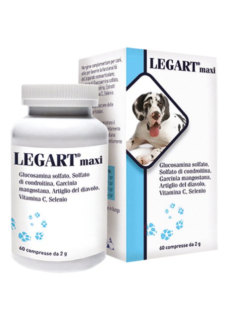 LEGART MAXI 60 COMPRESSE 2 G