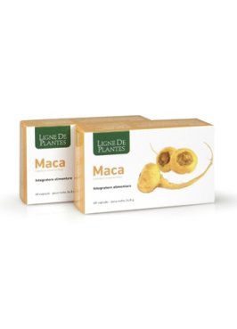 MACA 60CPS