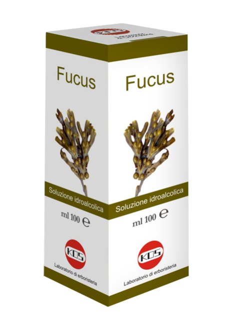 FUCUS SOL IAL 100ML