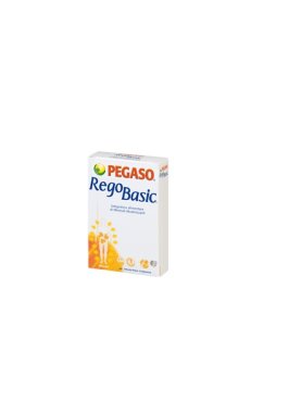 REGOBASIC 12BUST PEGASO