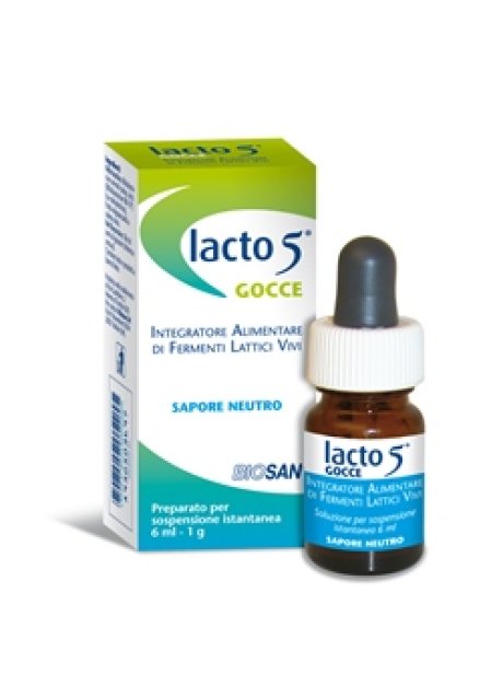 LACTO 5 GTT S/GLUT 6ML