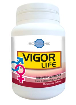 VIGOR LIFE 40CPS