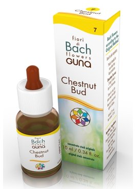 CHESTNUT BUD 7 GTT 10ML BACHGUNA