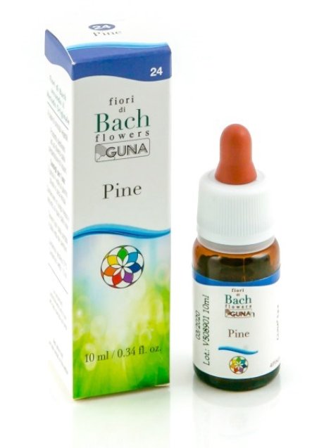 PINE 24 10ML GTT BACH GUNA