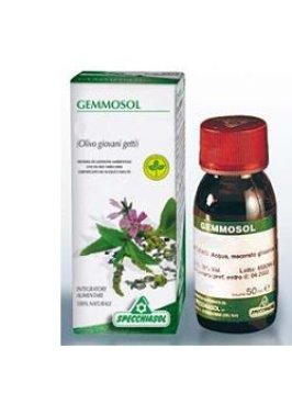 GEMMOSOL 15 CARPINO 50ML MG