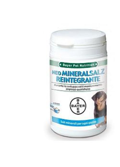 NEO MINERALSALZ REINTEGRANTE 300 G