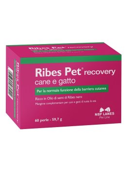 RIBES PET RECOVERY 60PRL