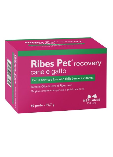 RIBES PET RECOVERY 60PRL