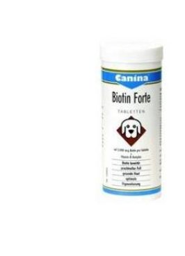 BIOTIN FORTE POLV 100G VET