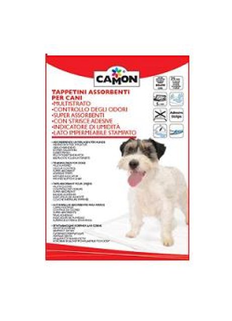 TAPPETINO ASS CANI 60X90 25PZ