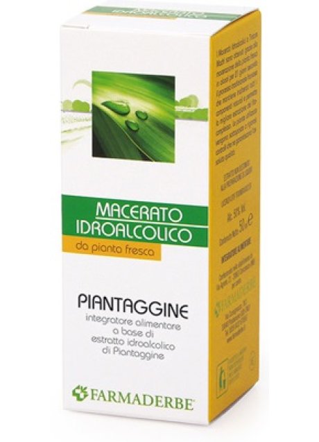 PIANTAGGINE MACERATO IDROALCOL