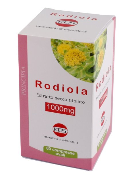 RODIOLA 60CPR 1000MG KOS