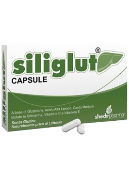 SILIGLUT 20 CAPSULE