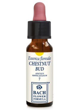 CHESTNUT BUD ORIGINAL 10ML GTT