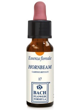 HORNBEAM ORIGINAL 10ML GTT