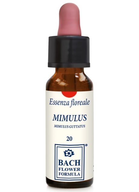 MIMULUS ORIGINAL 10ML GTT