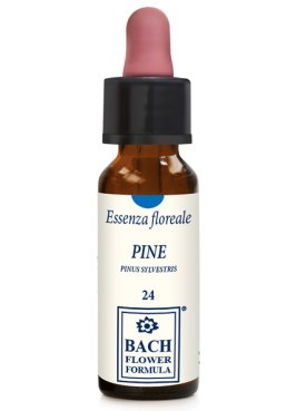 PINE ORIGINAL 10ML GTT