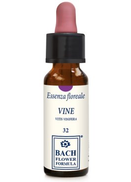 VINE ORIGINAL 10ML GTT EBV