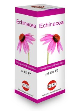 ECHINACEA SOL IAL PIANTA FR100