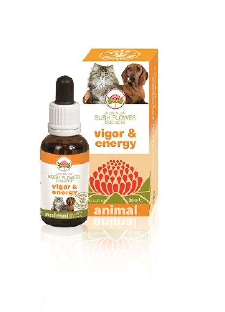 VIGOR & ENERGY 30ML