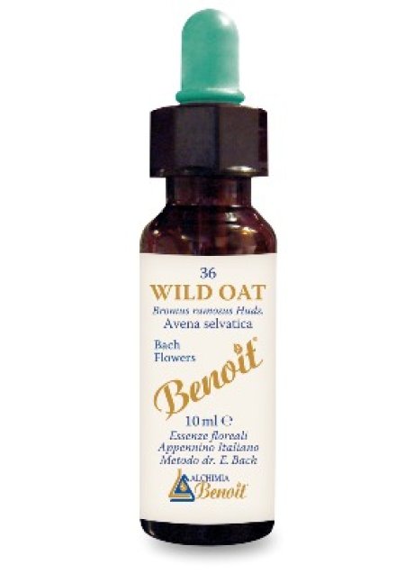 BENOIT FIORI DI BACH WILD OAT