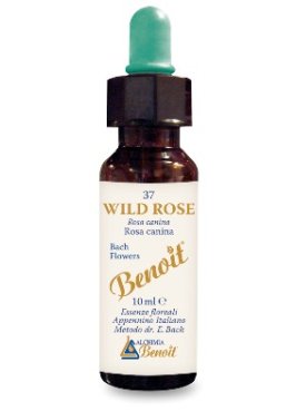 BENOIT FIORI DI BACH WILD ROSE