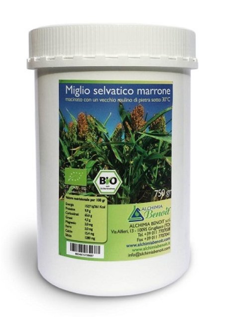 MIGLIO SELVATICO BENOIT 750G