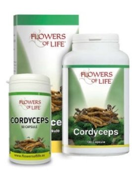 CORDYCEPS 100CPS FLOWERS OF LI