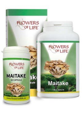 MAITAKE 100CPS FLOWERS OF LIFE