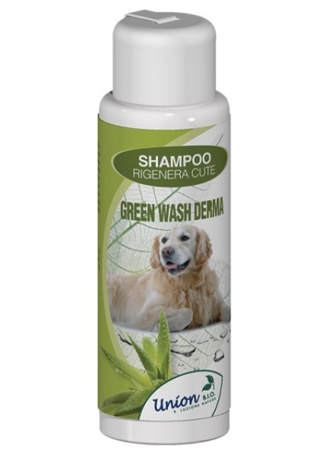 GREEN WASH DERMA SHAMPOO 250ML