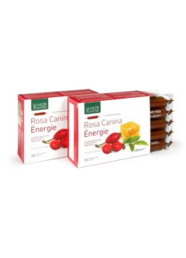 ROSA CANINA ENERGIE BIO 10AB